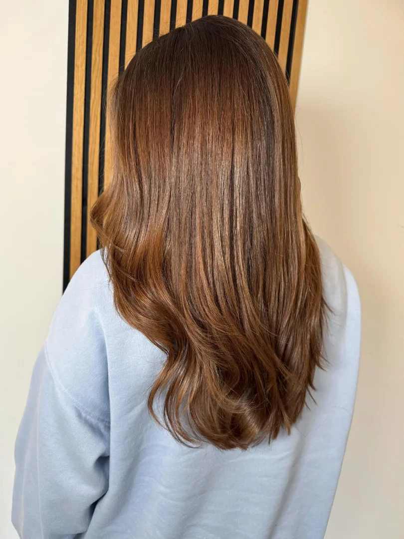 Dark Brown Hair With Chestnut Brown Highlights