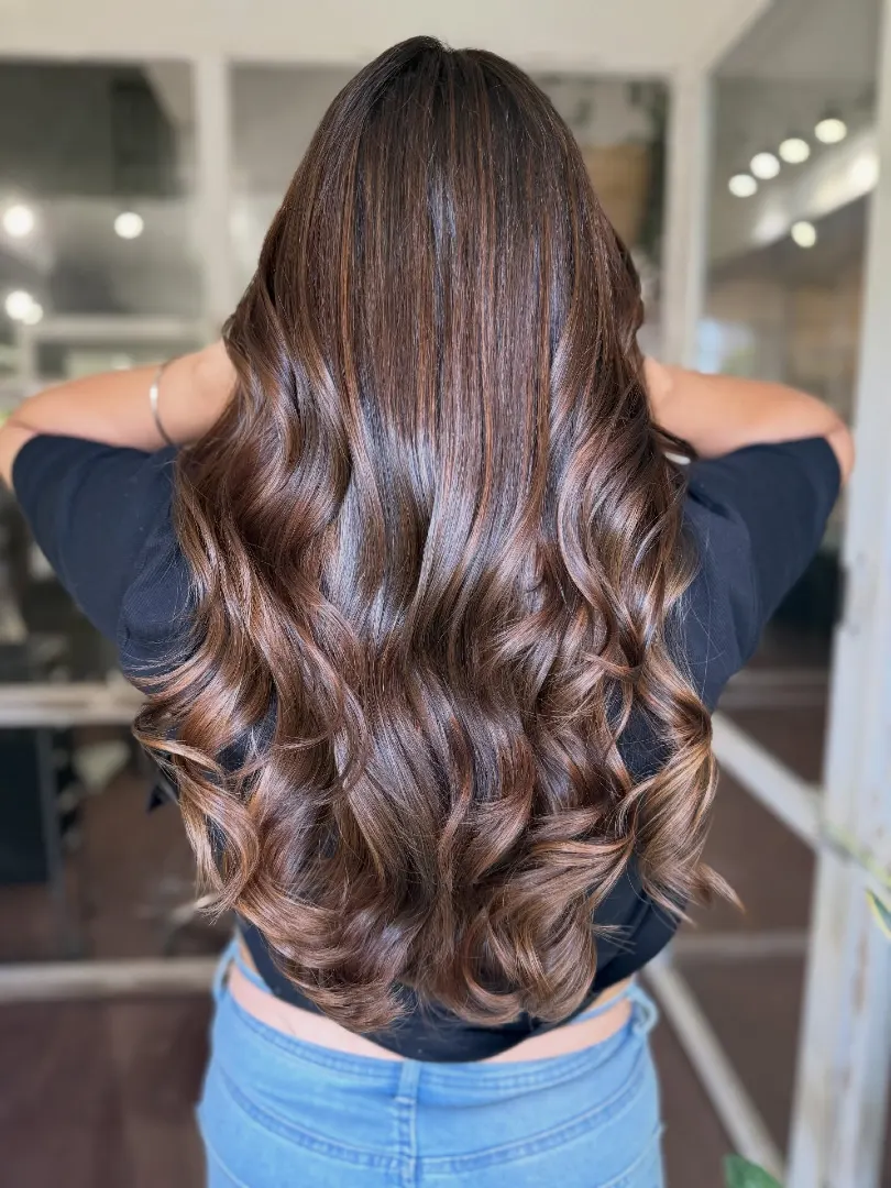 Dark Brown Hair With Glossy Chocolate Highlights