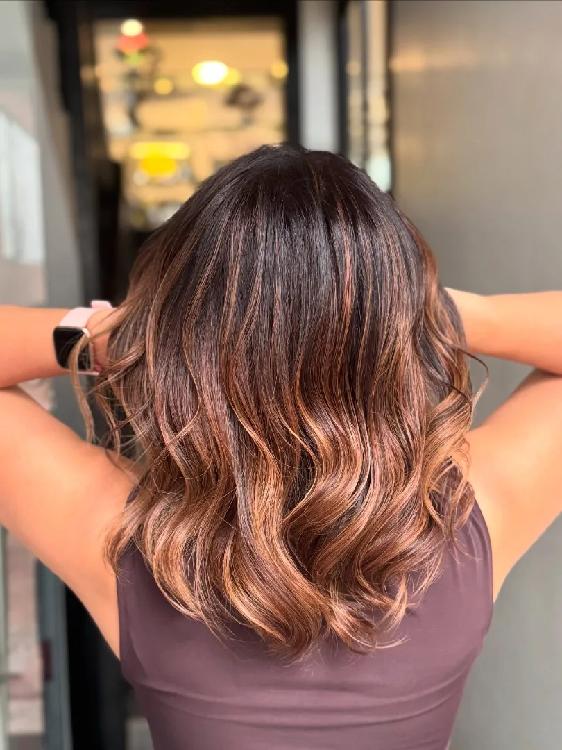 Dark Brown Medium Hair With Bronze Highlights