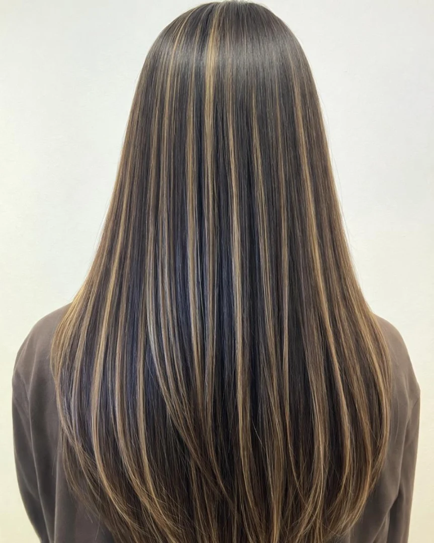 Dark Brown Straight Hair With Fine Golden Highlights