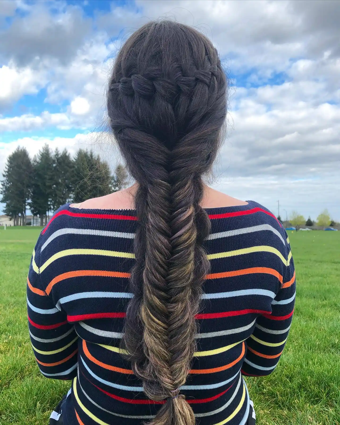 Dutch Braid into Fishtail Combo