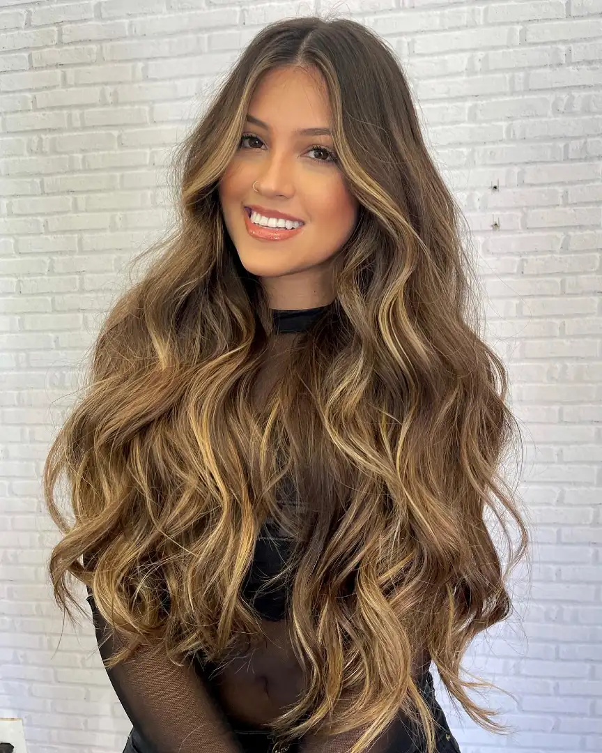 Long Dark Brown Hair With Honey Highlights