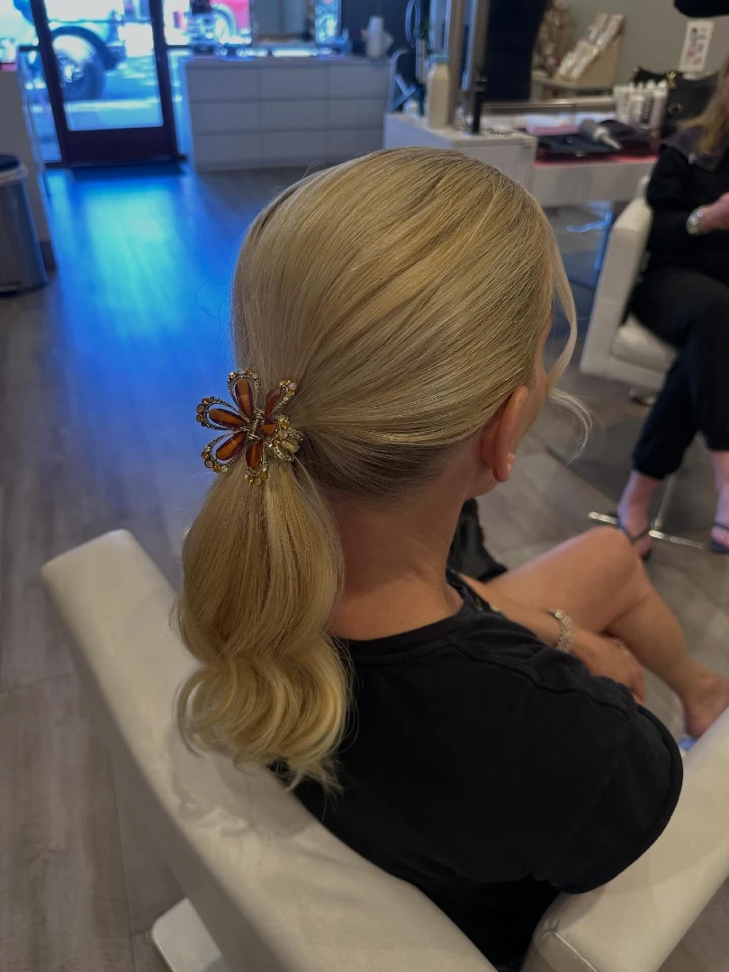 Low Ponytail with Butterfly Clip